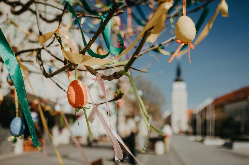 Există viață după ciocnitul ouălor? Săptămâna aceasta în București: Problema țânțarilor și alte povești | Cântec deasupra cenușii | Întâmplări stranii în&nbsp;Pipera