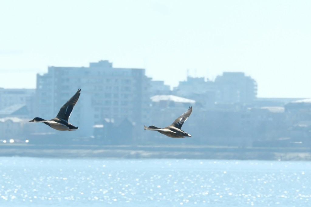 Săptămâna aceasta în București: Concert acustic byron | Vernisaj Dimensiunea Sebastian | Art, Drinks & Classical&nbsp;Strings