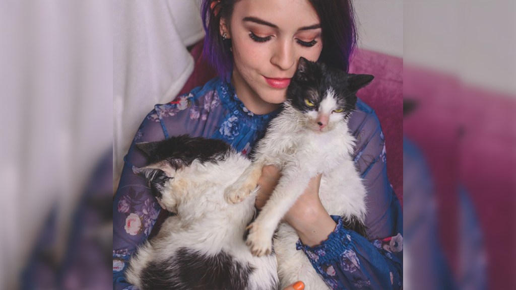 Trei pisici cu nevoi speciale, un drum fără pauză | Monica Luncan (Asociația Riga și Berlin), despre empatie, pierdere și limitele legislative: „Nimeni nu vorbește despre ce înseamnă să vezi zi de zi sânge și&nbsp;moarte”